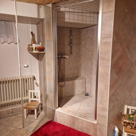 Grosses Gemuetliches Zimmer Mit Eigener Dusche Und Sauna Auf Wunsch Rheinstetten Kültér fotó